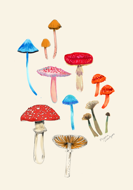 Fungus.png