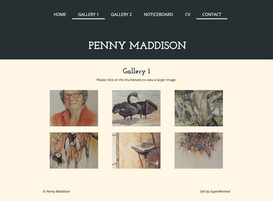 Penny-Maddison-Gallery-1.jpg